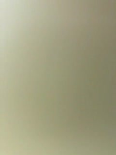 高颜值艺校大学生拜金美女被有钱大哥包养开房啪啪啪还没干呢BB就湿了狗舔水